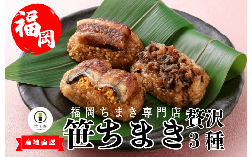 〈竹千寿〉贅沢 笹ちまき 3種 9個 豚角煮 鰻 和牛 [M670-1] 中華ちまき おこわ 笹おこわ 個包装 冷凍おにぎり おにぎり お取り寄せ 贈り物 内祝 お返し お祝い おこわギフト グルメ 冷凍 ちまきギフト おこわセット うなぎ 蒲焼き 博多和牛 福岡 宮若