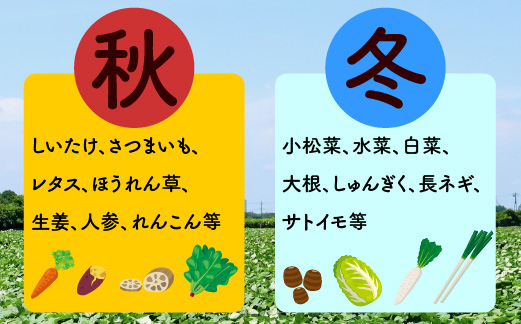 宮若産 旬の野菜詰め合わせ詰め合わせ 4〜6種セット [M1017] 季節 野菜 果物 詰め合わせ 九州 福岡 宮若市 ふるさと納税 おすすめ