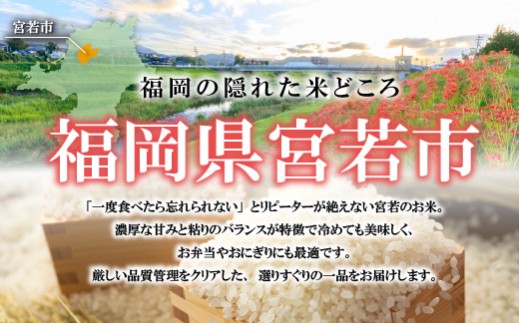 宮若米 (ブレンド米) 精米 20kg [M994] 