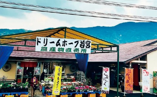 【令和7年産】日吉産 夢つくし 10kg [M856-3]
