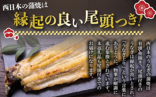 〈いろは〉九州産手焼きうなぎ白焼き 4尾 (約600g) [M829-1] ウナギ 鰻 炭火焼き 肉厚 うな重 ランキング 土用の丑の日 鹿児島県 人気 オススメ 宮若市
