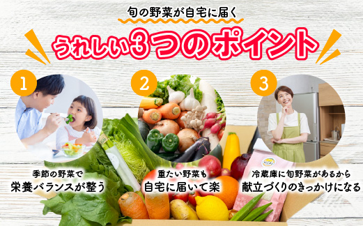 宮若産 旬の野菜詰め合わせ詰め合わせ 4〜6種セット [M1017] 季節 野菜 果物 詰め合わせ 九州 福岡 宮若市 ふるさと納税 おすすめ