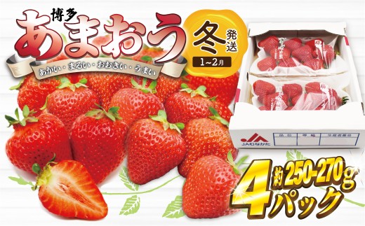 【先行予約】【2027年1月上旬より順次発送】博多あまおう 250g~270g×4パック [M868-2]