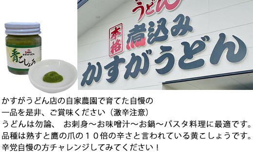 かすがの青こしょう 約400g 約40g×10個 [M760] 調味料 柚子 胡椒 ゆず こしょう スパイス 薬味 風味