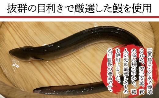 〈いろは〉九州産手焼きうなぎ白焼き 4尾 (約600g) [M829-1] ウナギ 鰻 炭火焼き 肉厚 うな重 ランキング 土用の丑の日 鹿児島県 人気 オススメ 宮若市