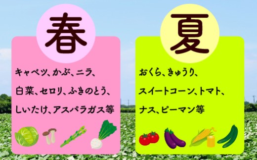 宮若産 旬の野菜詰め合わせ詰め合わせ 6〜8種セット [M1018] 季節 野菜 果物 詰め合わせ 九州 福岡 宮若市 ふるさと納税 おすすめ