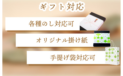 〈竹千寿〉博多和牛 笹ちまき 12個 [M397-1] 和牛 中華ちまき おこわ 笹おこわ 個包装 冷凍おにぎり おにぎり お取り寄せ 贈り物 内祝 お返し お祝い おこわギフト グルメ 冷凍 ちまきギフト おこわセット 福岡 宮若