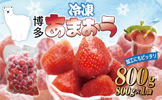 福岡県産冷凍あまおう800g (800g×1袋) [M1001]