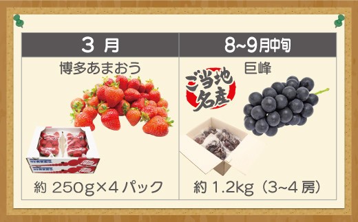【定期便】宮若市旬のフルーツ定期便 (年4回) [M763] ブランド いちご ぶどう みかん 柿 大人気 NO1 限定品 高級 フルーツ 果物 くだもの 特別 冷蔵 プレゼント 九州 福岡 宮若市 ふるさと納税 おすすめ 送料無料