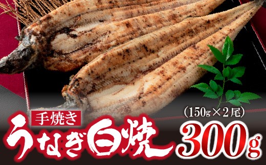 [いろは]九州産手焼きうなぎ白焼き 2尾 (約300g) [M635-1] ウナギ 鰻 炭火焼き 肉厚 うな重 ランキング 土用の丑の日 鹿児島県 人気 オススメ 宮若市