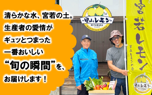 宮若産 旬の野菜詰め合わせ詰め合わせ 4〜6種セット [M1017] 季節 野菜 果物 詰め合わせ 九州 福岡 宮若市 ふるさと納税 おすすめ