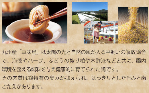 【3ヶ月連続定期便】〈博多華味鳥〉 水たきセット 3〜4人前 柚子胡椒付き(H-A1) [M930-1] 水炊き 鍋 人気 セット 肉 鶏 はなみどり ご当地グルメ 福岡 スープ
