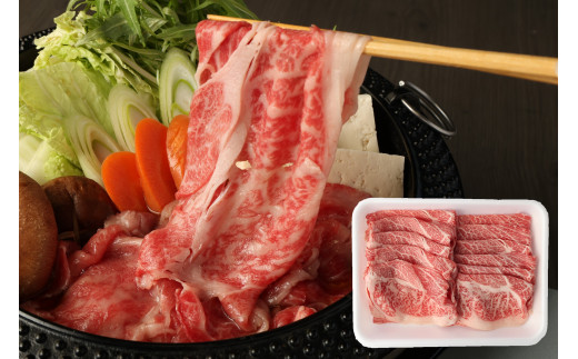 〈野田精肉店〉厳選黒毛和牛(ローススライス400g) [M82]