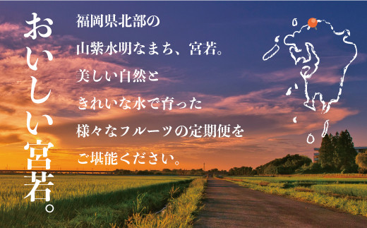 【定期便】宮若市旬のフルーツ定期便 (年4回) [M763] ブランド いちご ぶどう みかん 柿 大人気 NO1 限定品 高級 フルーツ 果物 くだもの 特別 冷蔵 プレゼント 九州 福岡 宮若市 ふるさと納税 おすすめ 送料無料