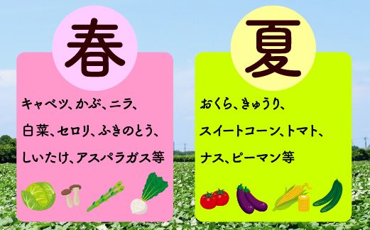 宮若産 旬の野菜詰め合わせ詰め合わせ 4〜6種セット [M1017] 季節 野菜 果物 詰め合わせ 九州 福岡 宮若市 ふるさと納税 おすすめ