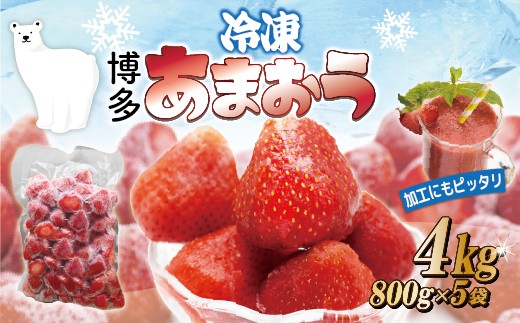 福岡県産冷凍あまおう4kg (800g×5袋) [M1002]
