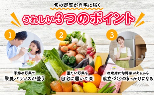 宮若産 旬の野菜詰め合わせ詰め合わせ 6〜8種セット [M1018] 季節 野菜 果物 詰め合わせ 九州 福岡 宮若市 ふるさと納税 おすすめ