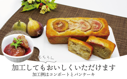 【令和8年度産】【先行予約】福岡県ブランドいちじく「博多とよみつひめ」300g×4パック [M775-2] 福岡県限定 果肉 上品 甘い なめらか食感 糖度17度 フルーツ 果物