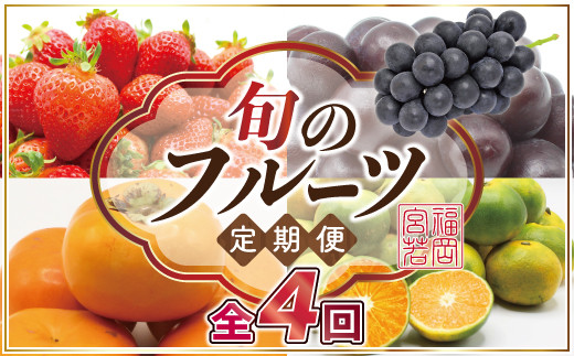[定期便]宮若市旬のフルーツ定期便 (年4回) [M763] ブランド いちご ぶどう みかん 柿 大人気 NO1 限定品 高級 フルーツ 果物 くだもの 特別 冷蔵 プレゼント 九州 福岡 宮若市 ふるさと納税 おすすめ 送料無料