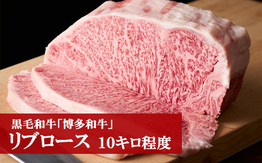 博多和牛リブロース(10kg程度) [M55]