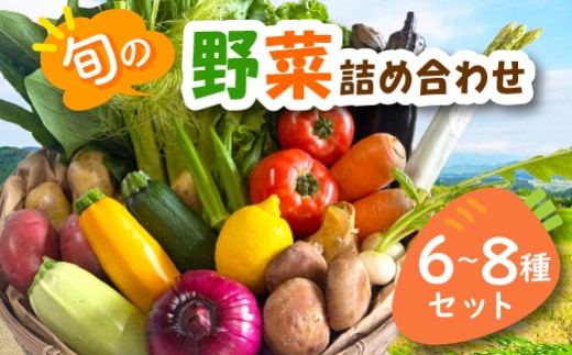 宮若産 旬の野菜詰め合わせ詰め合わせ 6〜8種セット [M1018] 季節 野菜 果物 詰め合わせ 九州 福岡 宮若市 ふるさと納税 おすすめ