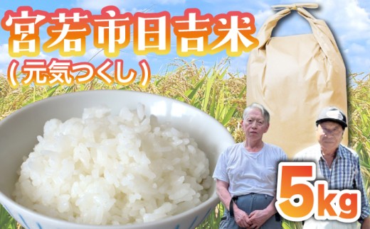 【令和7年産】日吉産 元気つくし 5kg [M909-2]