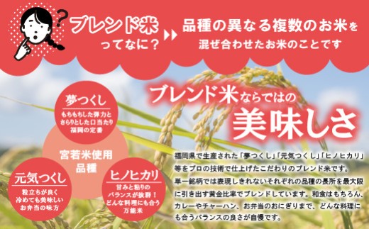 宮若米 (ブレンド米) 精米 20kg [M994] 