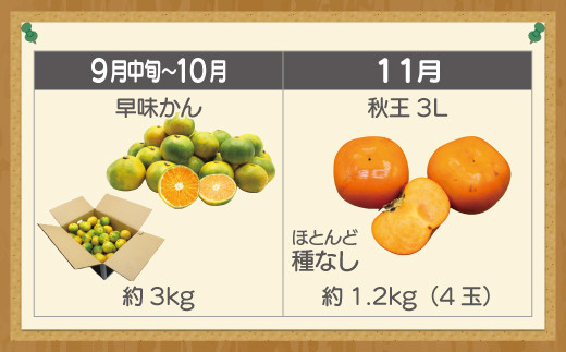 【定期便】宮若市旬のフルーツ定期便 (年4回) [M763] ブランド いちご ぶどう みかん 柿 大人気 NO1 限定品 高級 フルーツ 果物 くだもの 特別 冷蔵 プレゼント 九州 福岡 宮若市 ふるさと納税 おすすめ 送料無料