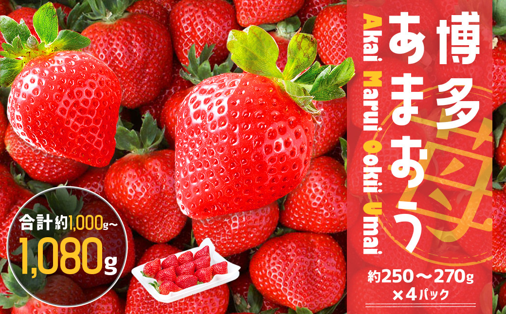 JAふくおか嘉穂 博多あまおう 【2箱（250g～270g×4パック）】 いちご あまおう 果物 フルーツ 【2026年2月上旬-3月下旬迄順次発送予定】