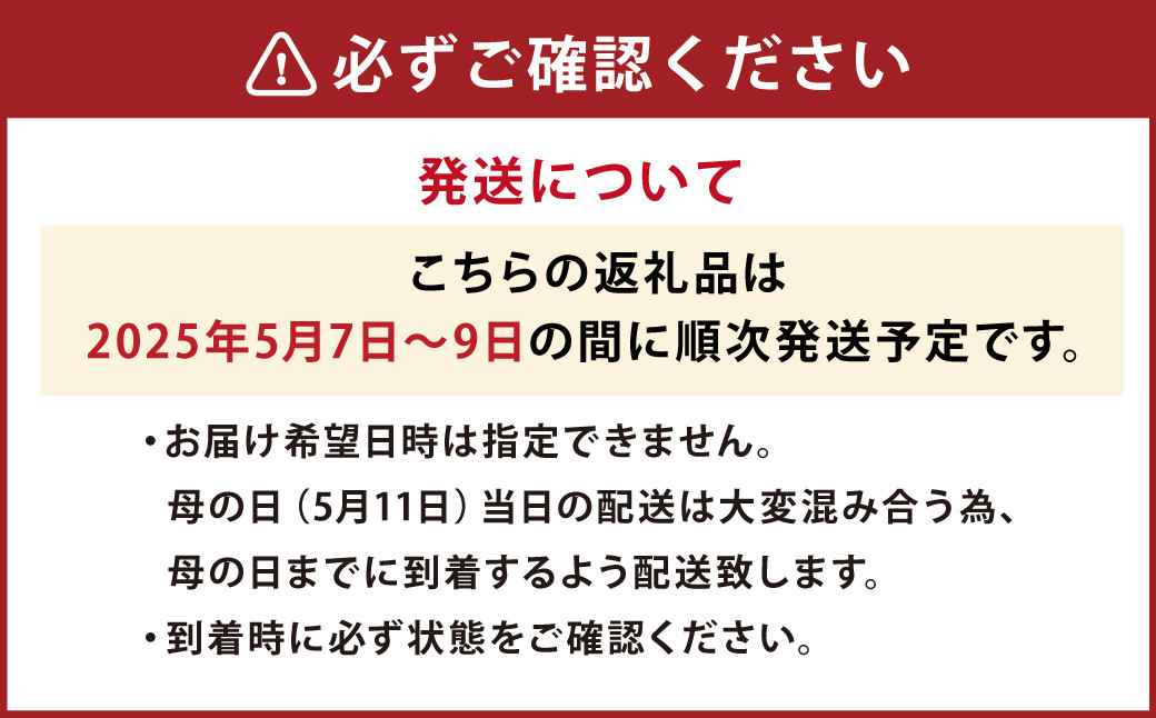 【先行予約】母の日にぴったりなカーネーションを中心にしたブーケ！ 花瓶付きタイプ 母の日 花 花瓶 ブーケ 花束 贈り物 ギフト