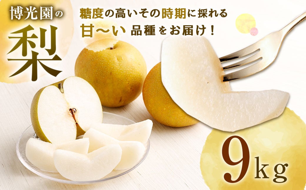 美味しい 【九州産】 梨 9.0kg 【2025年9月下旬～12月下旬迄発送予定】 豊水 20世紀 新高 新興 果物