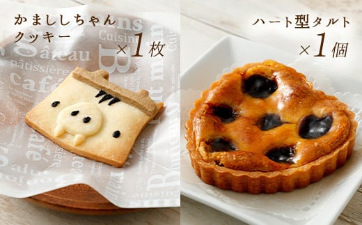 JAM JILL SWEETS 特製クッキー&タルトセット 詰め合わせ スイーツ