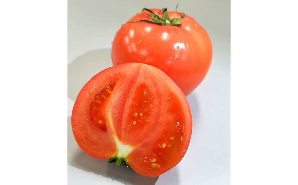 JAふくおか嘉穂 嘉穂のこくうま エコトマト4kg とまと 福岡県 嘉麻市 【2026年1月下旬-6月上旬迄順次発送予定】