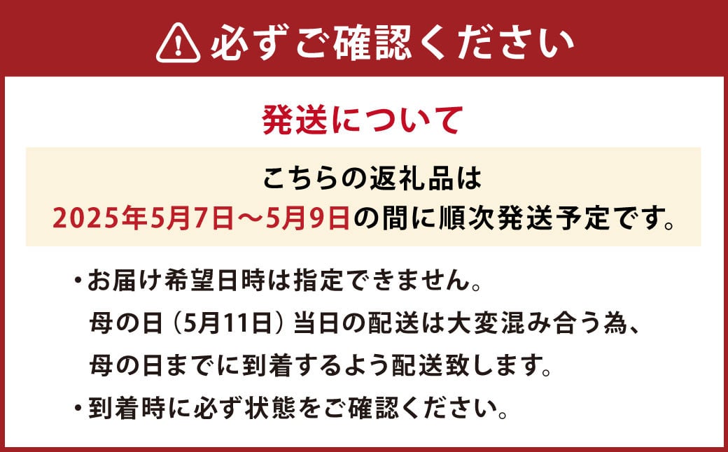 【先行予約】母の日にぴったりなカーネーションを中心に季節のお花を束ねたブーケ【2025年5月7日～2025年5月9日まで順次発送】