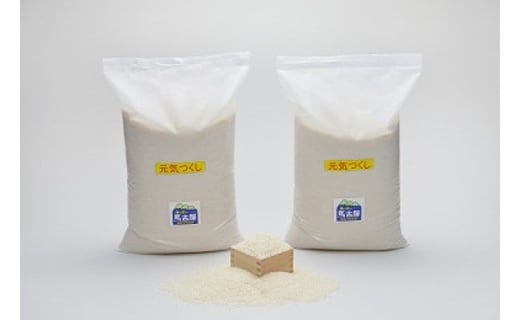 【令和7年産】嘉麻市産 夢つくし 11kg 清らかな水で育った 福岡県産 特別栽培米