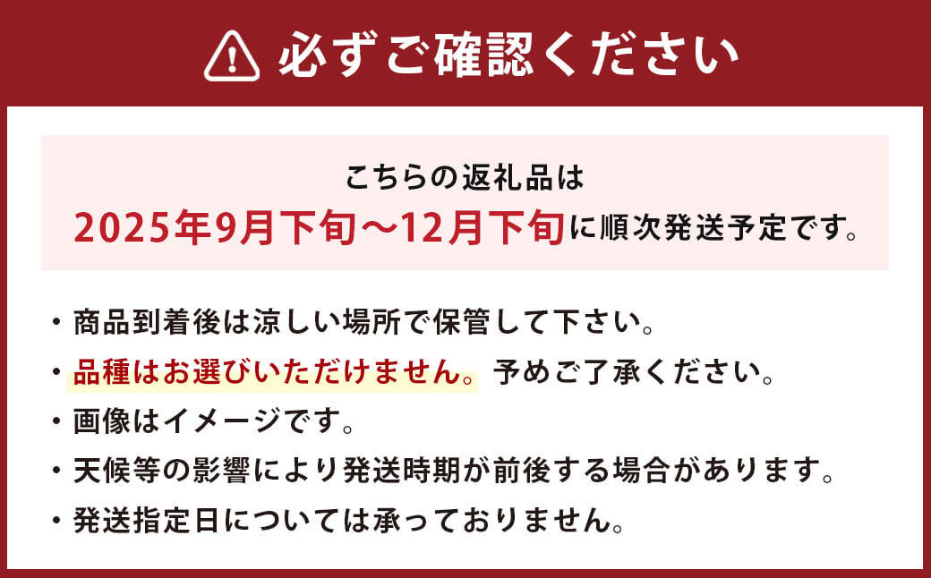 美味しい 【九州産】 梨 4.5kg 【2025年9月下旬～12月下旬迄発送予定】 豊水 20世紀 新高 新興 果物