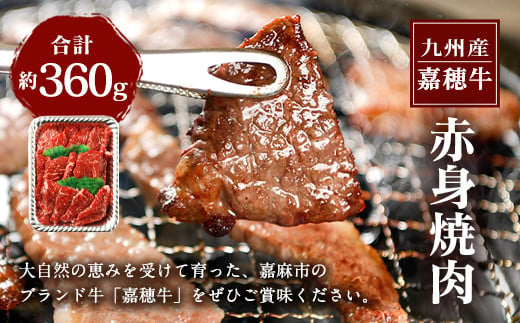 嘉穂牛 赤身焼肉 約360g 牛肉 ブランド牛 高品質