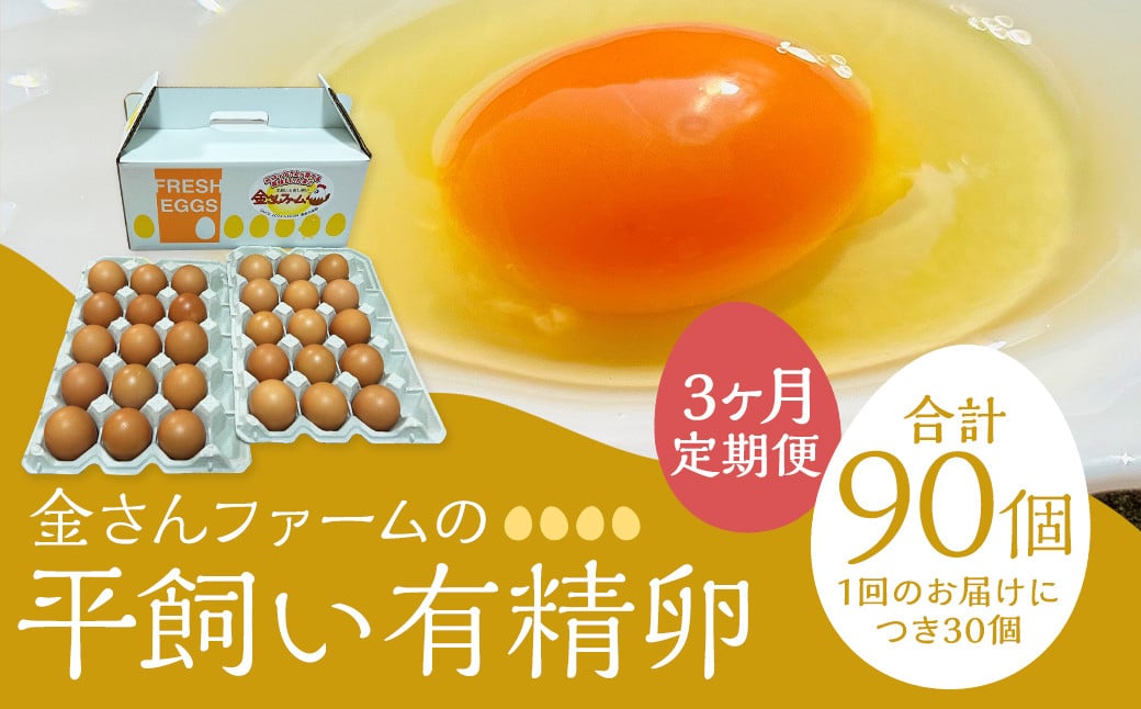 【定期便3回】【平飼い有精卵】30個入（26個+割れ保証4個） 合計90個 たまご 卵 玉子 鶏卵 平飼い 有精卵 定期便