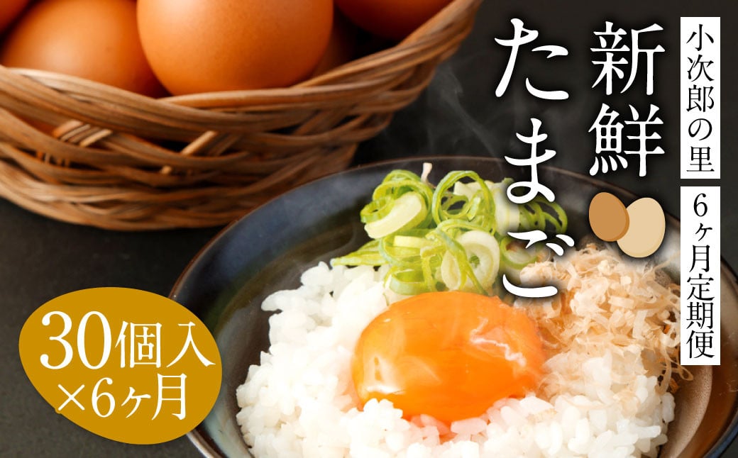 【6ヶ月定期便】鶏卵 30ヶ入×6回 合計180個 たまご 福岡県産