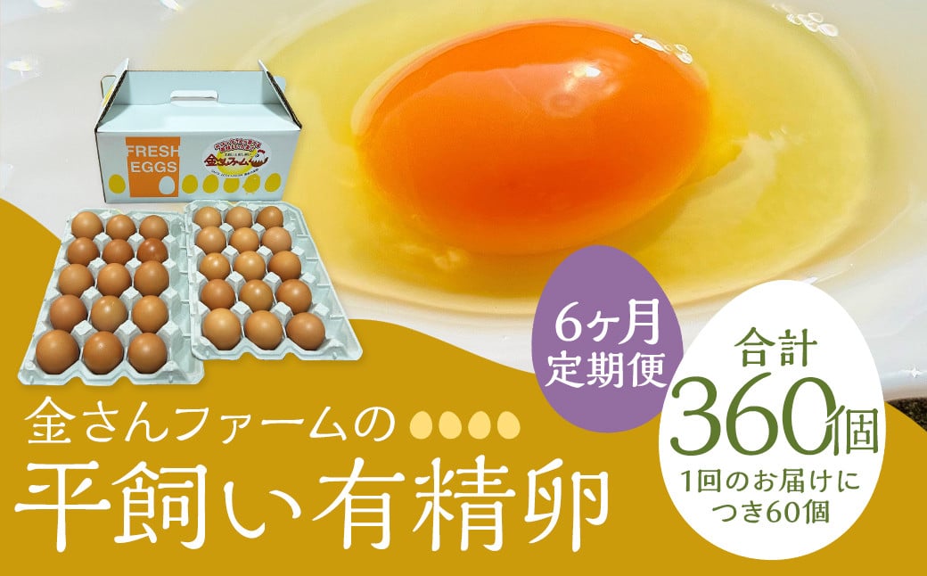 【定期便6回】【平飼い有精卵】60個入（54個+割れ保証6個） 合計360個 たまご 卵 玉子 鶏卵 平飼い 有精卵 定期便