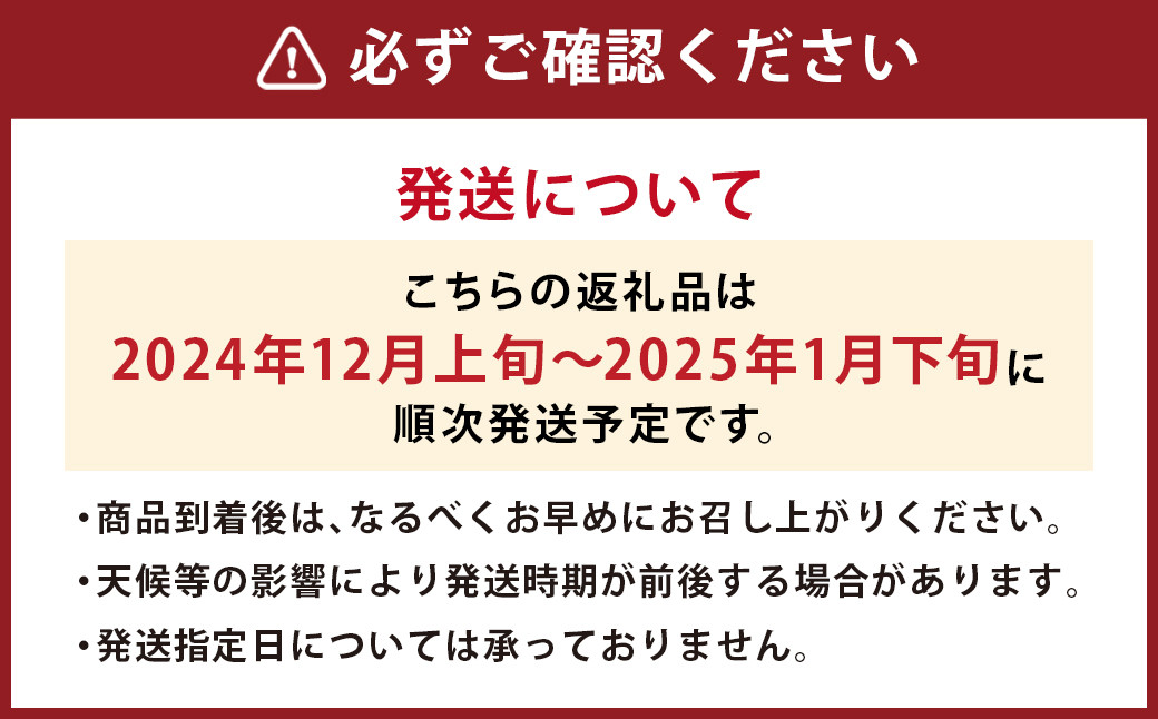 【冬】福岡産 あまおう いちご 約250～270g×2パック 【2024年12月上旬～2025年1月下旬発送予定】 大粒