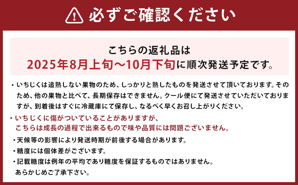 じぃじの いちじく 【 とよみつひめ 】約1.5kg 【2025年8月上旬～10月下旬発送予定】 いちじく 果物 フルーツ