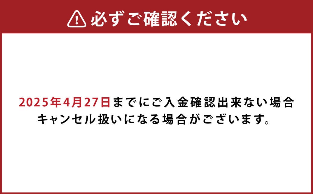 【先行予約】母の日にぴったりなカーネーションを中心に季節のお花を束ねたブーケ【2025年5月7日～2025年5月9日まで順次発送】