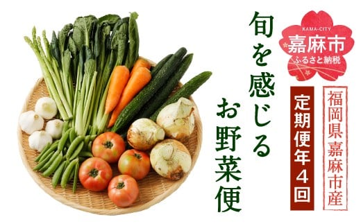 旬を感じるお野菜 定期便 年4回 季節 野菜セット