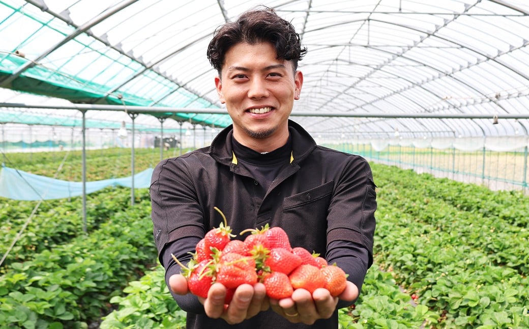 渡邉農園の冷凍あまおう2kg（1kg×2袋） 冷凍 いちご イチゴ フルーツ くだもの 福岡県産 【2025年9月上旬より順次発送予定】
