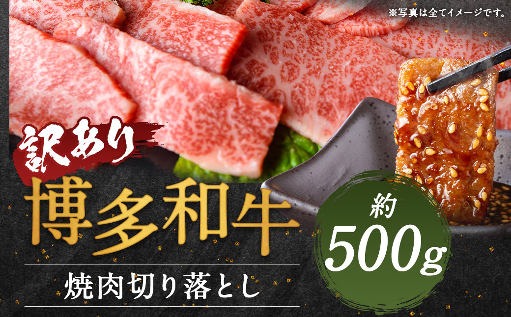 【訳あり】博多和牛焼肉切り落とし 約500g