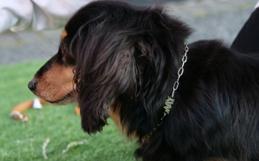 【 唯一無二のペットジュエリー 】 Soothing chain 受注生産 名入れ シルバー アクセサリー オリジナル ハンドメイド ファッション 装飾品 ペット 動物 お洒落 オシャレ シルバーアクセサリー ネックレス ペット用