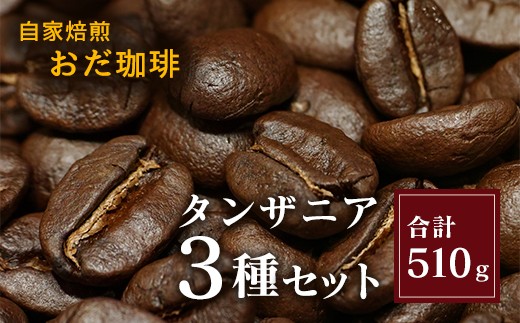 自家焙煎 おだ 珈琲 タンザニア 3種セット 各170g コーヒー 豆