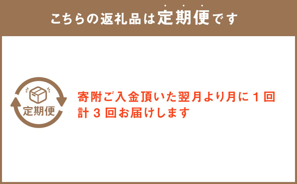 【定期便 3回】”松竹梅の竹セット”届いたら、いつもの花瓶に入れるだけ！ 簡単管理 の おしゃれ ブーケ ♪初回 花瓶 付き、毎回延命剤付き！！ 花 生花 花束