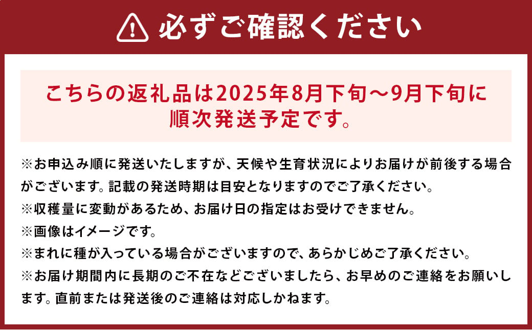 【訳あり品】福岡県産シャインマスカット 摘み落とし粒 約1kg 【2025年8月下旬～9月下旬迄発送予定】